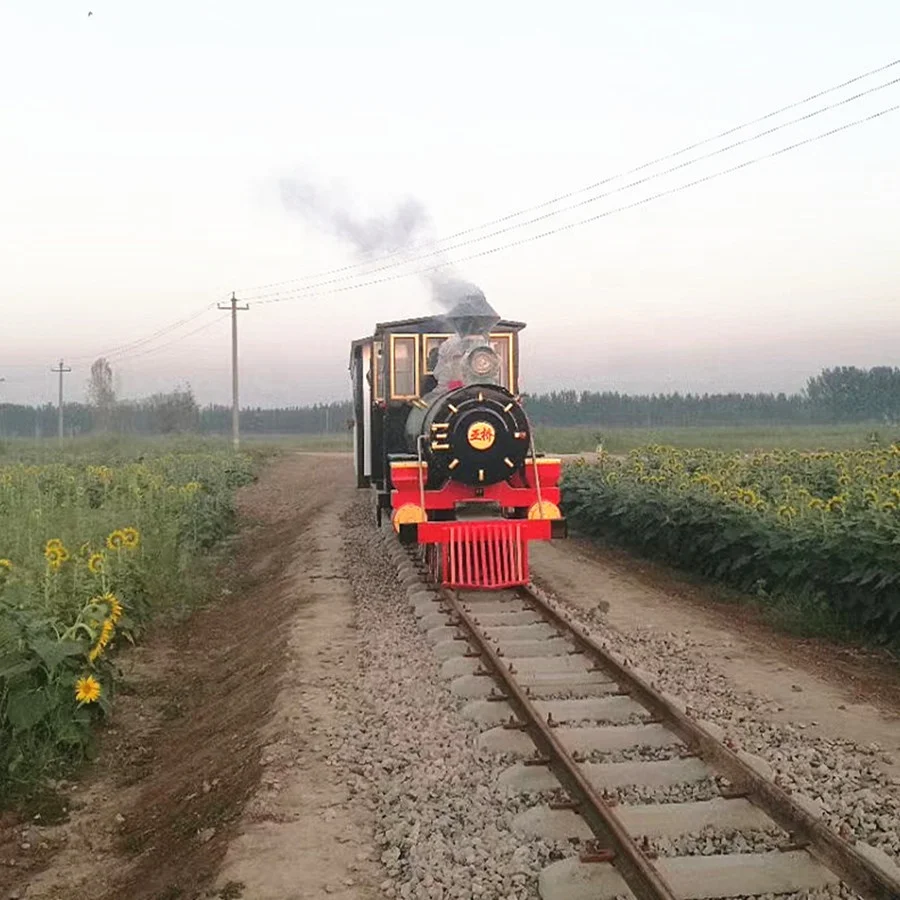 Суперэлектрический Трековый поезд для парка развлечений на 100 мест