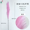 Single 13-hair reed, pink