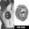 HB-496