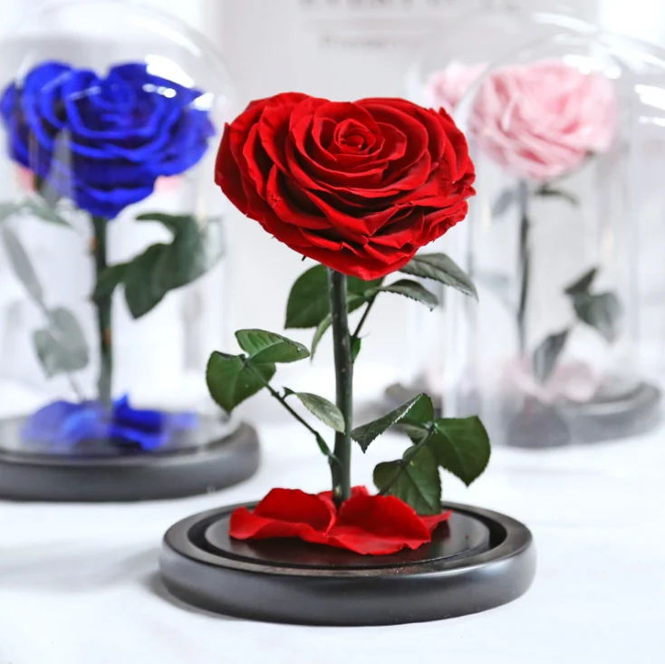 Puto Preserved Real Rose Eternal Rose in Glass Dome Gift for Her Thanksgiving