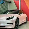 Sakura rose
