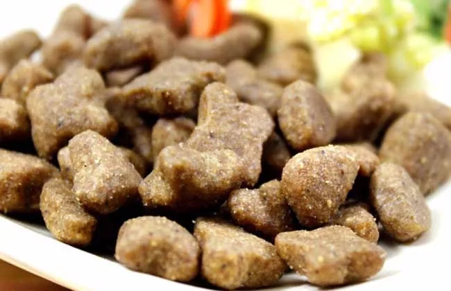 Fully Automatic Pet Food Extruder Pet Food Extruder with Preconditioning Dried Kibble Dog Food Extruder