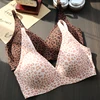 Leopardo rosa
