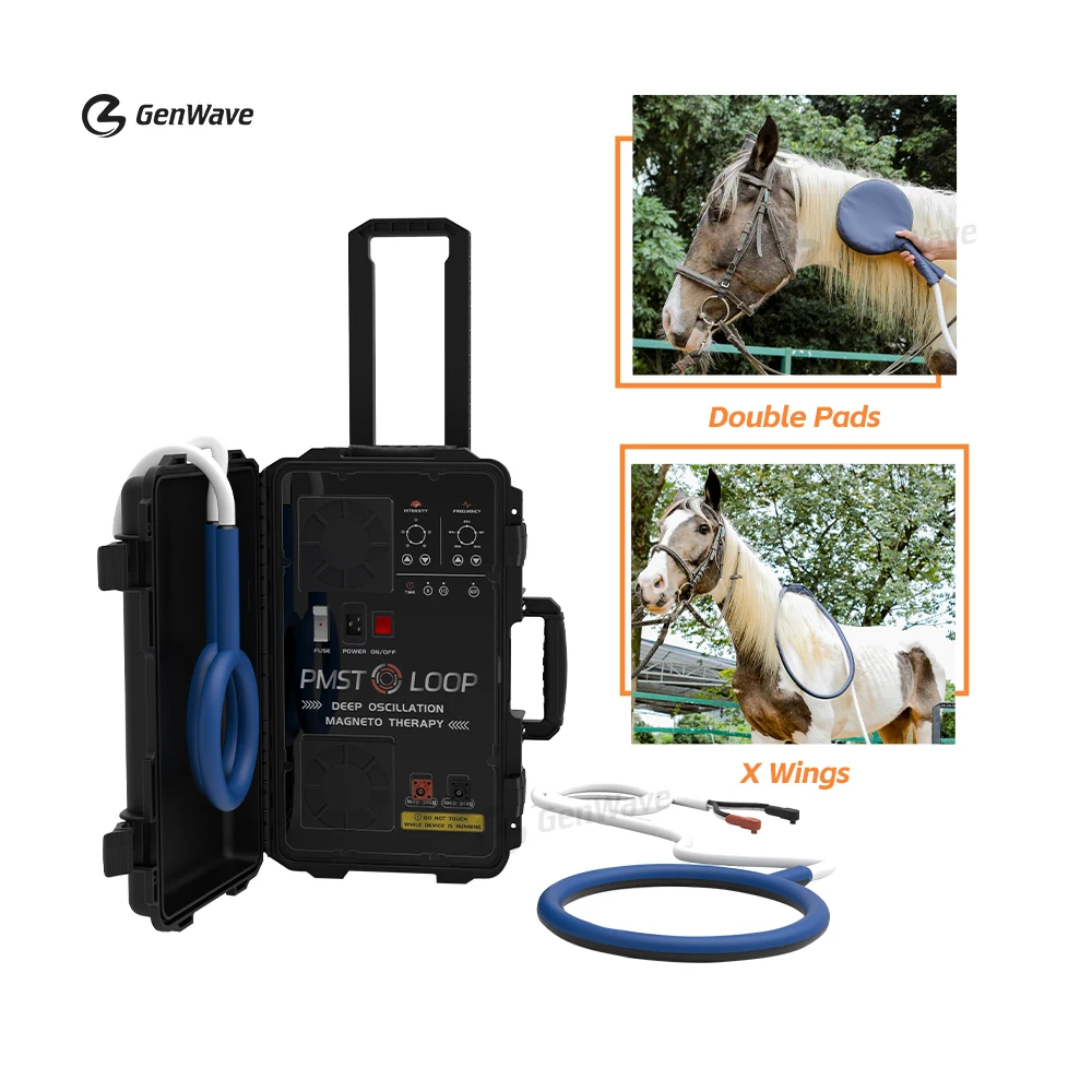 Portable Pemf Magnetic Therapy Device Pmst Loop Horse Magnetic Therapy Pemf Machine