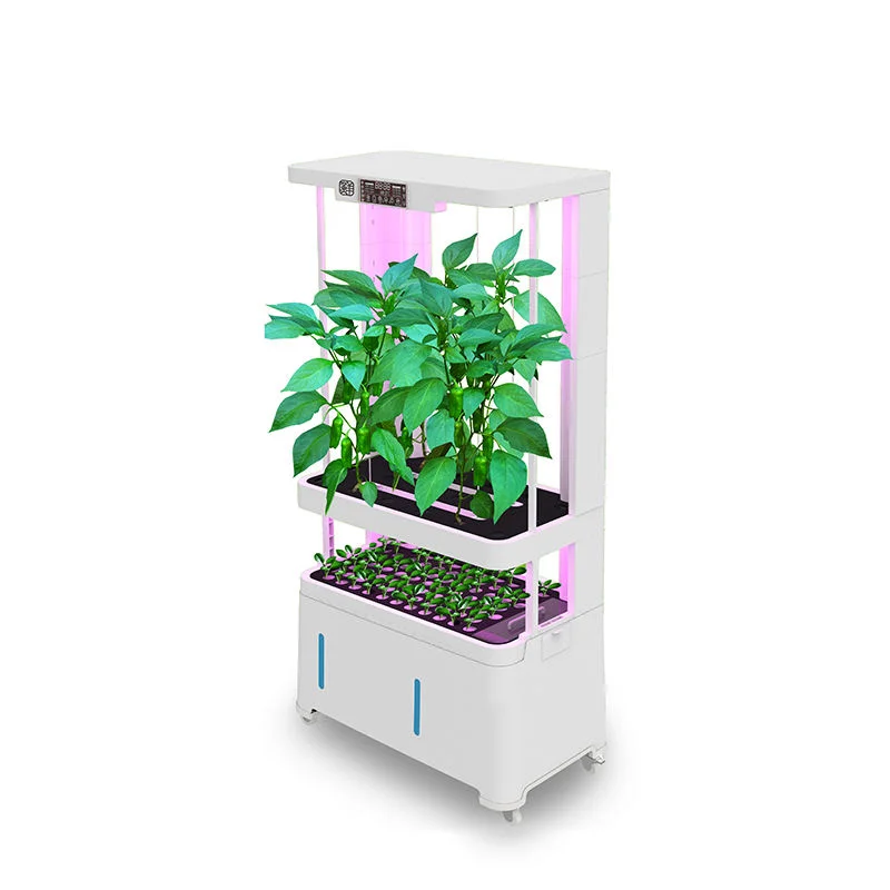 A-ONE RR-WE32 Smart Home Automatic Indoor Hydroponic Planting Cabinet High Productivity Irrigation System Hydroponics Equipment