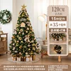 120cm Gold Champagne with Tree Skirt (without gift box)