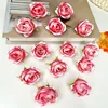 Bordure rose rouge et blanche