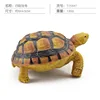 Colorida tortuga de cuatro dedos Q9899-S597 130 g