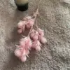 Snowball