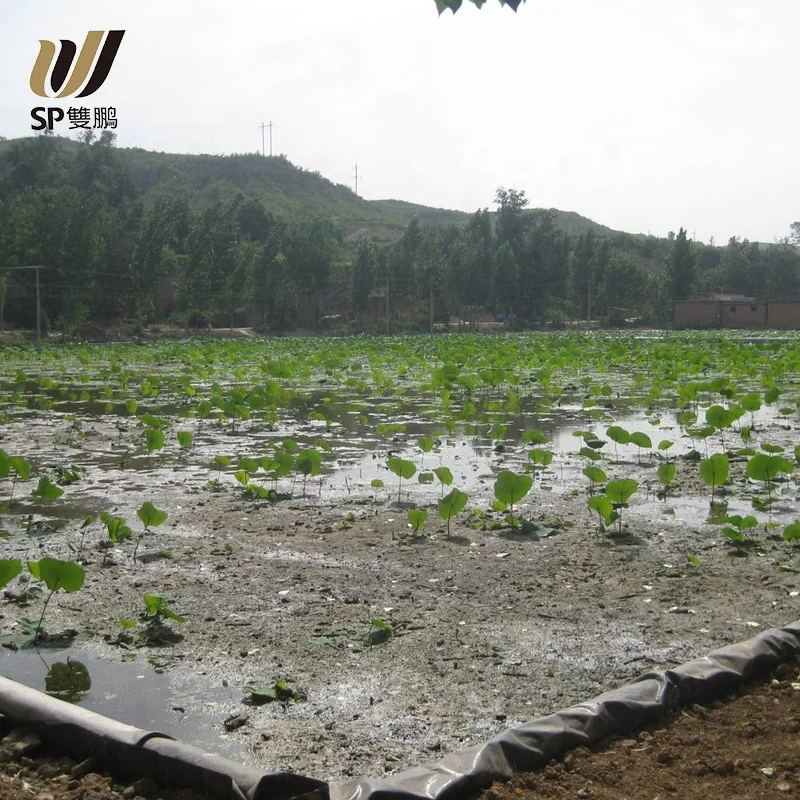 SP Outdoor Heavy Duty Anti-sobek Lipat Terpal Untuk Pembibitan Ikan Udang Kolam Renang