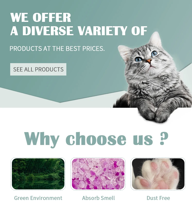 Factory Wholesale Premium Blue Non Clumping Silica Cat Litter Crystal Cat Litter Buy Non