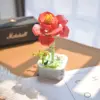 Pivoine