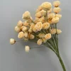 แชมเปญ