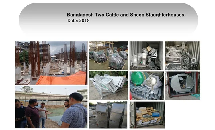 Sheep slaughterhouse plants 100 goat meat slaughterhouses per day