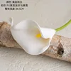 Yellow flower pure white