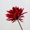 colorato A