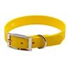 sunflower yellow