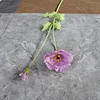 Pourpre