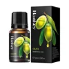 Oliva