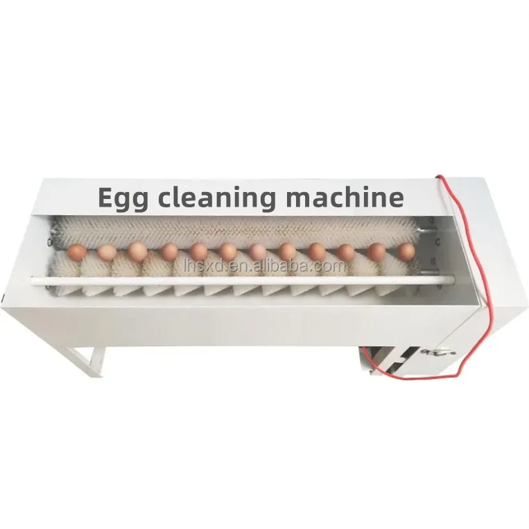 New Automatic Egg Washing Machine / Salted Duck Egg Cleaning Machine