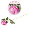 Rosa scuro