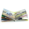 Libro cartonato
