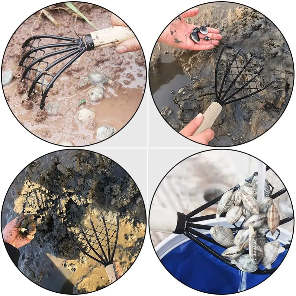 High Quality Five Teeth Beach Shell Digging Rake - Bingfeng