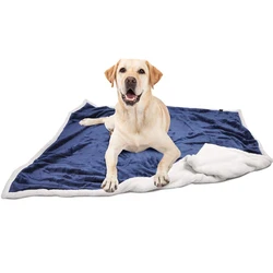 Custom Eco-Friendly Bio Degradable Dog Cornstarch Eco Friendly Compostable Biodegradable Poop Bags For Pet Poop