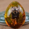 Cicada