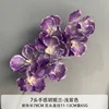 Orchid Light Purple