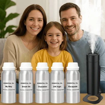 500ml Bulk Luxury Hotel Grade Perfume Essential Oil with Signature My Way Scent Long-lasting Fragrance for Diffusers