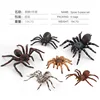 Spider 6 piezas Set 194,7G