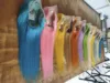 personalizza parrucca colorata