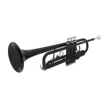 SLADEプロフェッショナルOEM管楽器カラーBbベースフラット