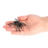 3984 Araña gris