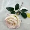 Polvo ligero