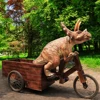 Triceratops