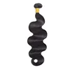 1b# Body Wave
