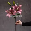 Two-headed lily