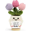 mix Three-headed tulip