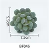 BF046