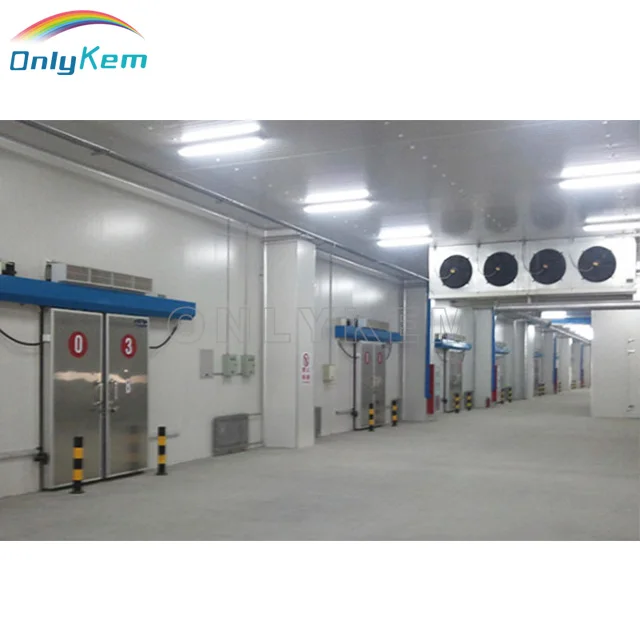 Logistics Warehouse 1000m2 Cold Room for Vegetables, Walk in Freezer Cold Room With Sectional Door