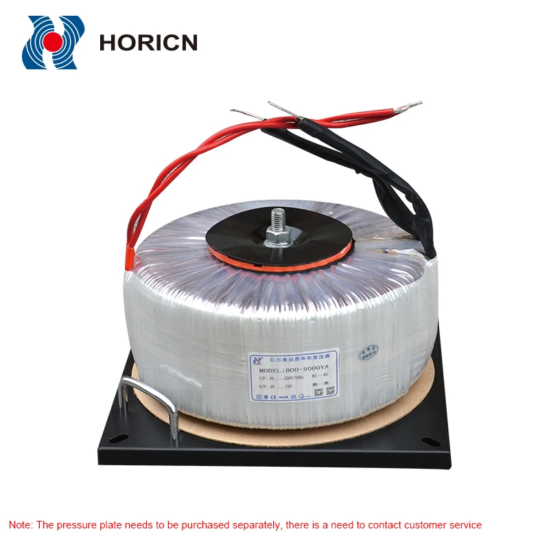 BOD-4000VA Customized Single Phase Toroidal Autotransformer Horicn Manufacturing with 220V Input and 24V Output