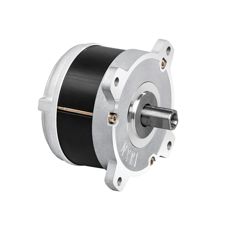 3700rpm 500W 750W  1000W 24V 36V 48V 220V Brushless DC Motor for Lawn Mower