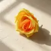 Rosa Perla Amarilla