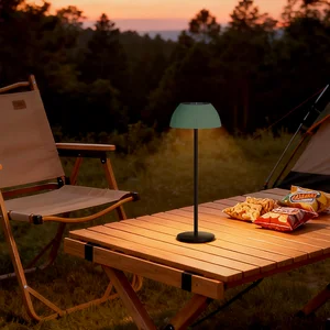 Portable Solar LED Garden Lights IP54 Rated Metal Construction Touch Control Multi-Color  Solar Outdoor Light Portable Light