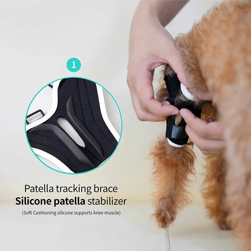 Dog Elbow Protector Canine Paw Compression Wraps Pet Knee Pad Dog Leg