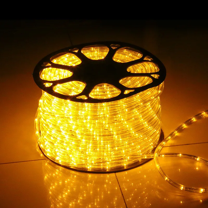 110V/220V RGB LEDストリップロープライト100mカラーチェンジ