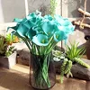 Cielo azzurro