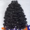 Filippine Curl